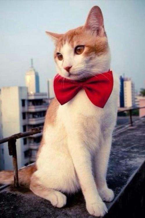 ͻƣйͱ׼ֱ7.7%11.3%